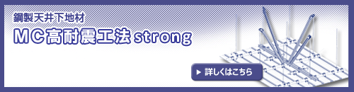MCϐkH@strong̏Љ